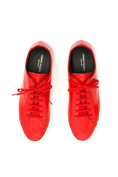 Shop Common Projects Achilles Premium Sneakers In Red Black