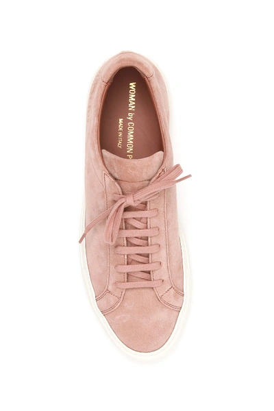 Shop Common Projects Original Achilles Low Suede Sneakers In Blush