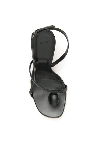 Shop Coperni Open Toe Oval Sandals In Black