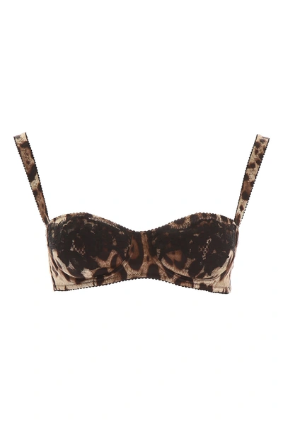 Shop Dolce & Gabbana Balconette Bra With Lace In Leo New