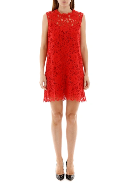 Shop Dolce & Gabbana Lace Mini Dress In Rosso Brillante