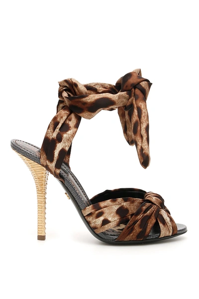 Shop Dolce & Gabbana Leo Print Keira Sandals In Leo New