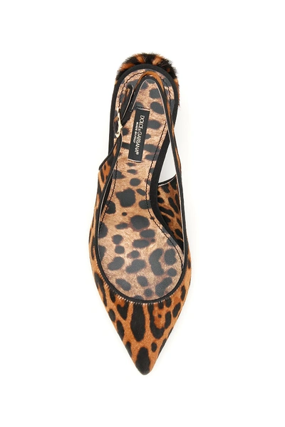 Shop Dolce & Gabbana Leopard Print Lori Slingbacks