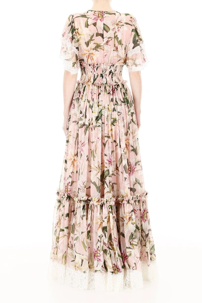 Shop Dolce & Gabbana Lily Print Dress In Gigli Fdo Rosa