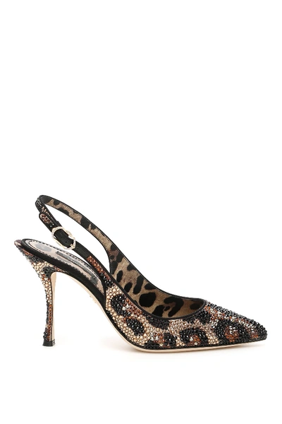 Shop Dolce & Gabbana Lori 90 Slingbacks In Leopard