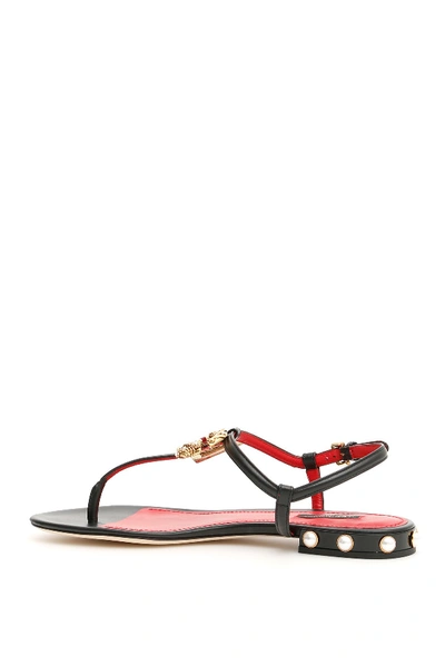 Shop Dolce & Gabbana Sandals With Logo Buckle In Nero
