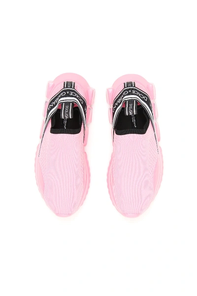 Shop Dolce & Gabbana Sorrento Melt Knit Sneakers In Rosa