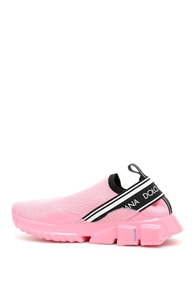 Shop Dolce & Gabbana Sorrento Melt Knit Sneakers In Rosa