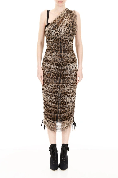Shop Dolce & Gabbana Tulle One-shoulder Dress In Leo New