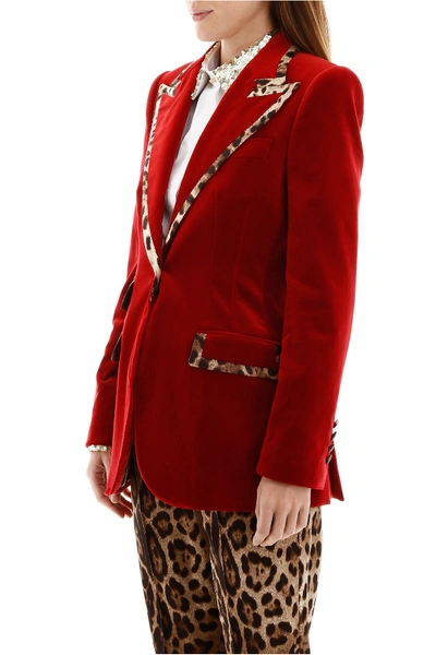 Shop Dolce & Gabbana Velvet Blazer With Animalier Hems In Rosso Sangue Scuro