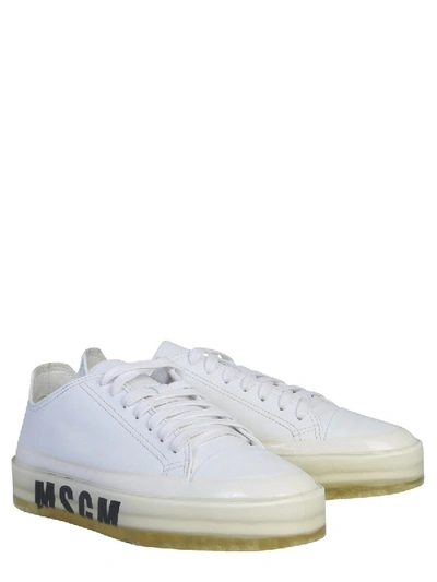 Shop Msgm Floating Sneaker In White