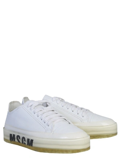 Msgm Oversized Sole Sneakers In White