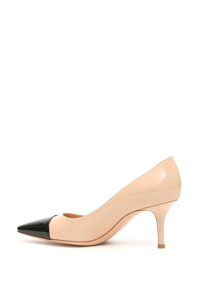 Shop Gianvito Rossi Bicolor Lucy Pumps In Black Nude