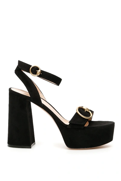 Shop Gianvito Rossi Suede Platform Sandals In Black