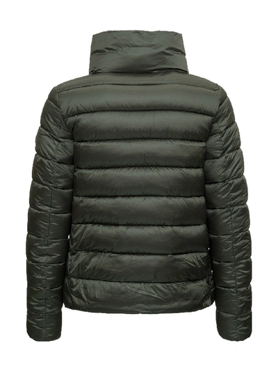 Shop Save The Duck High Neck Down Jacket In Green