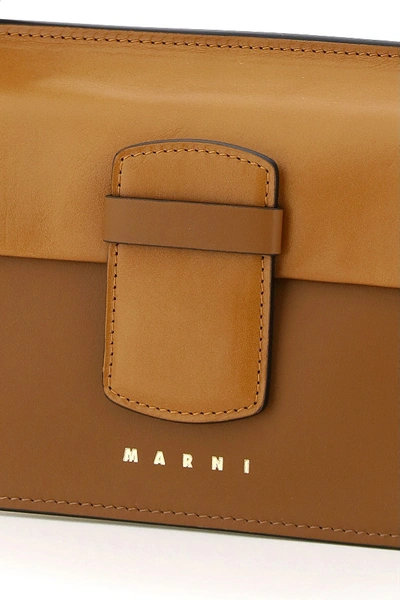 Shop Marni In Winter Wheat Moca Silk White Cigar