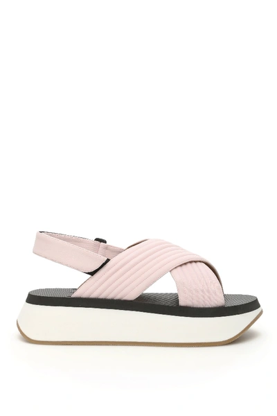 Shop Marni Platform Sandals In Light Rose