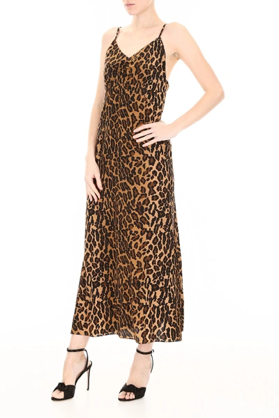 Shop Miu Miu Leopard-printed Dress In Kaki