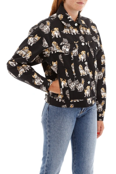 Shop Msgm Cats Print Denim Jacket In Nero