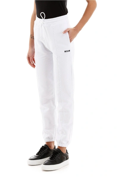 Shop Msgm Jogging Pants In Optical White
