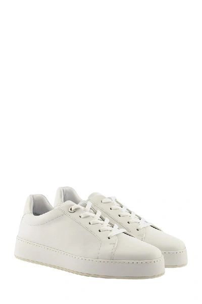 Shop Loro Piana Nuages Dyed Sneakers Calf White