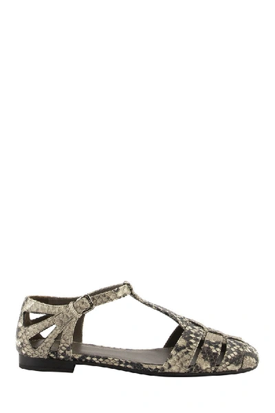 Shop Church's Rainbow T-bar Sandal Python Print Stone In Beige/black