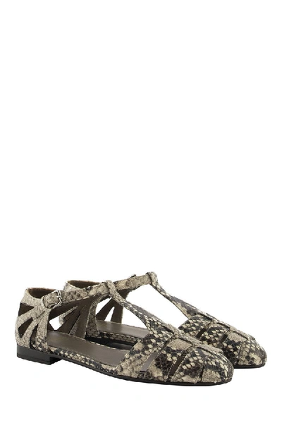 Shop Church's Rainbow T-bar Sandal Python Print Stone In Beige/black