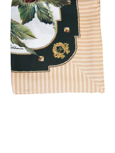 Shop Dolce & Gabbana Scarf With Logo In Multicolour