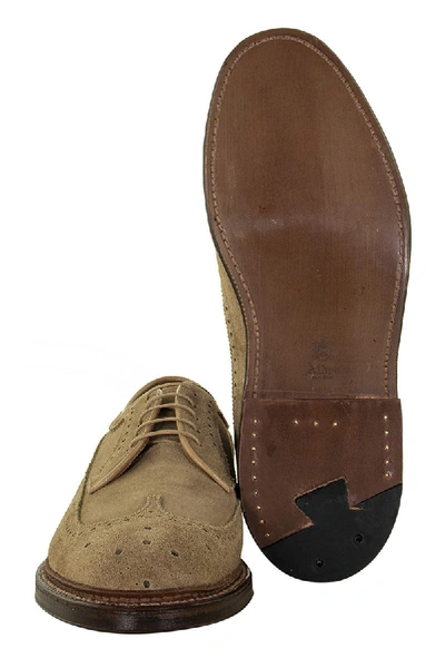 Shop Alden Shoe Company Alden Tan Suede Longwing In Honey