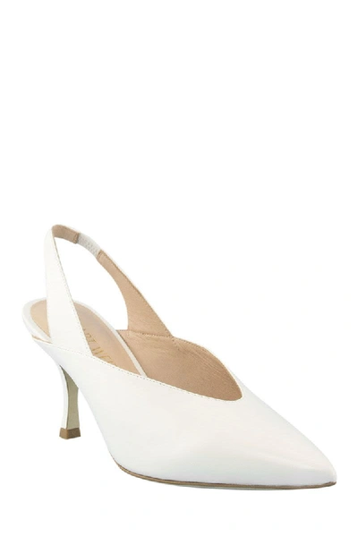 Shop Stuart Weitzman The Avianna 75 Pump In Perla Light Gray