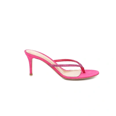Shop Gianvito Rossi Thong Sandals With Fuchsia Heel In Beige