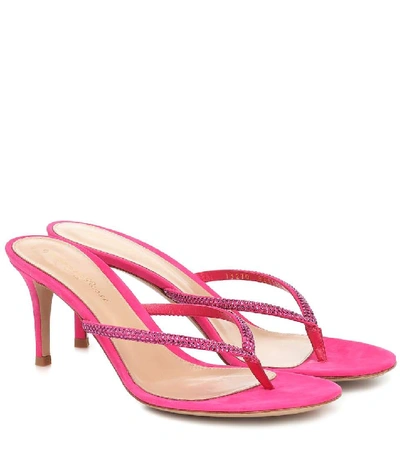 Shop Gianvito Rossi Thong Sandals With Fuchsia Heel In Beige