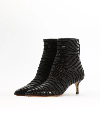 Shop Francesco Russo Zebra Ankle Bootie In Black