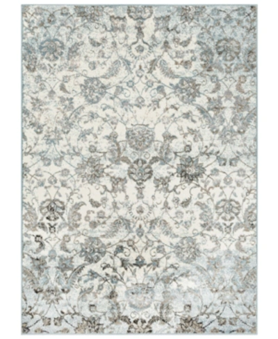 Shop Surya Agra Agr-2302 Denim 2' X 3' Area Rug