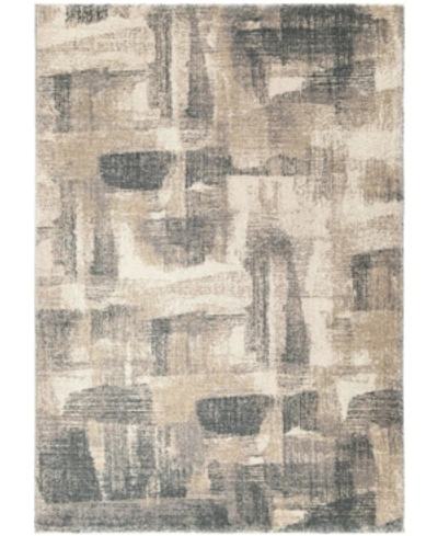 Shop Palmetto Living Nirvana Angora Gray 9' X 13' Area Rug