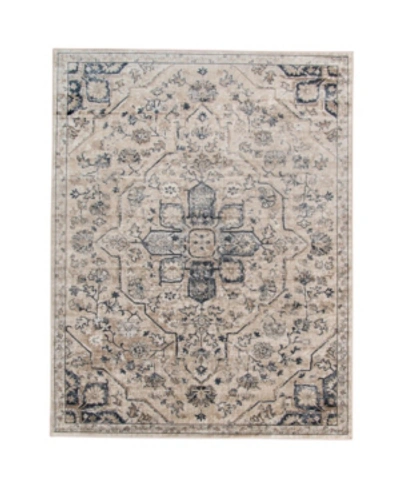 Shop Amer Rugs Belmont Blm-1 Ivory 3'11" X 5'11" Area Rug