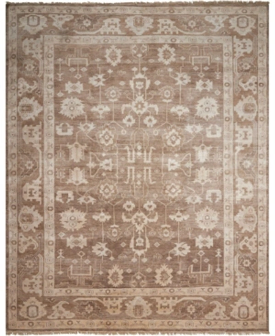 Nourison Aldora Ald06 Mocha 7'9" X 9'9" Area Rug In Mocha