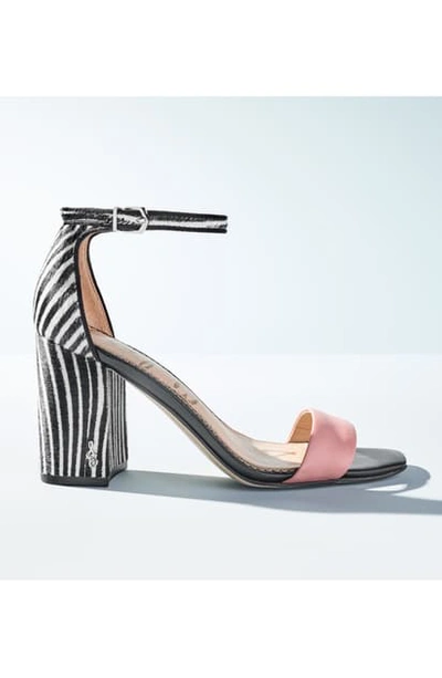Shop Sam Edelman Daniella Ankle Strap Sandal In Praline Croco