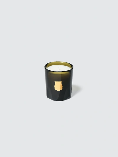 Shop Cire Trudon Abd El Kader Petite Scented Candle In Green