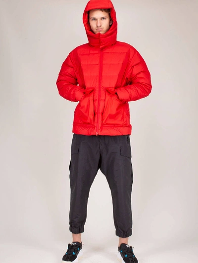 Shop Y-3 M Cl Puffy Jacket Red