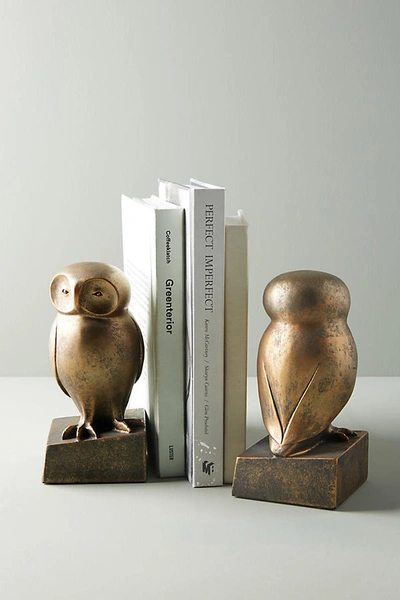 Shop Anthropologie Wise Owl Bookends In Gold