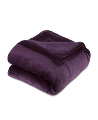 Shop Vellux Luxury Plush Twin Blanket In Plum