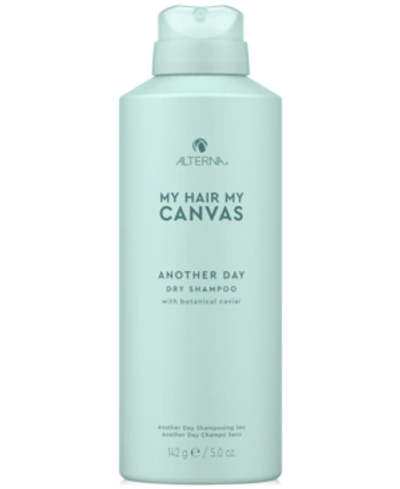 Shop Alterna My Hair My Canvas Another Day Dry Shampoo, 5-oz.