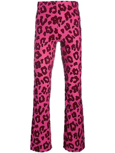 Shop Ambush Leopard Print Bootcut Trousers In Pink