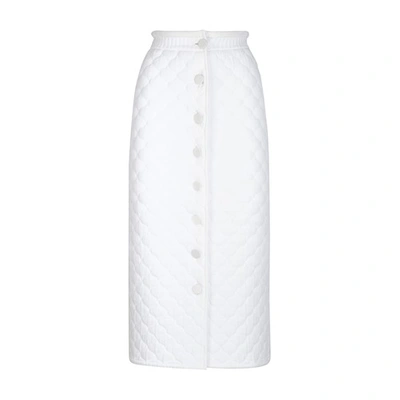 Shop Fendi Viscose Skirt In Blanc