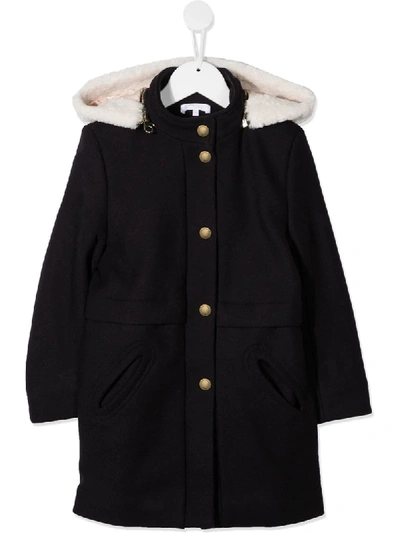 Shop Chloé Hooded Button-up Coat In Blue