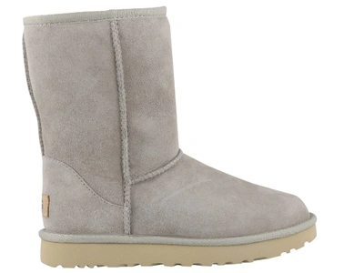 Shop Ugg Classic Short Boots In Grey