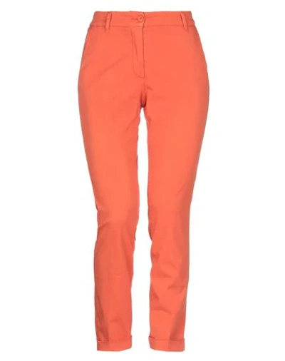Shop Bruno Manetti Woman Pants Orange Size 6 Cotton, Elastomultiester, Elastane