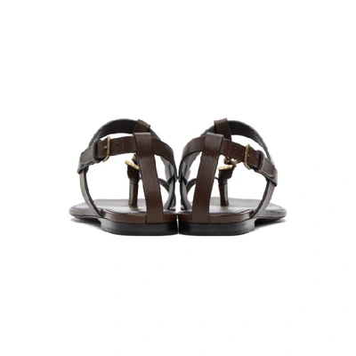 Shop Saint Laurent Brown Cassandra Flat Sandals In 6023 Choco