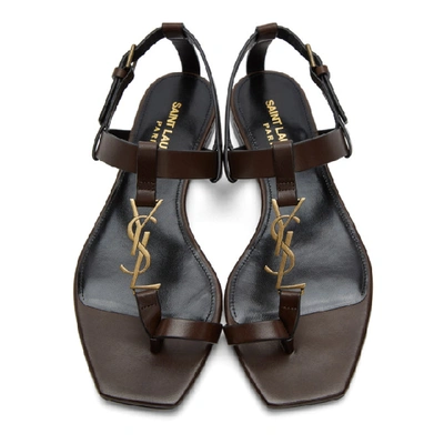 Shop Saint Laurent Brown Cassandra Flat Sandals In 6023 Choco